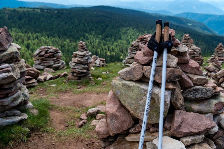 Carbon Fiber Vs Aluminum Trekking Poles Pros and Cons Where The Road
