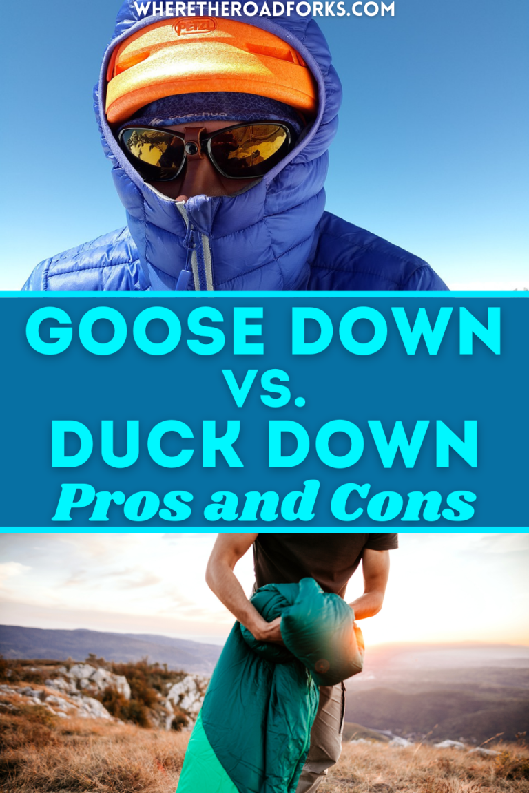 Goose Down Vs Duck Down Pros and Cons Where The Road Forks