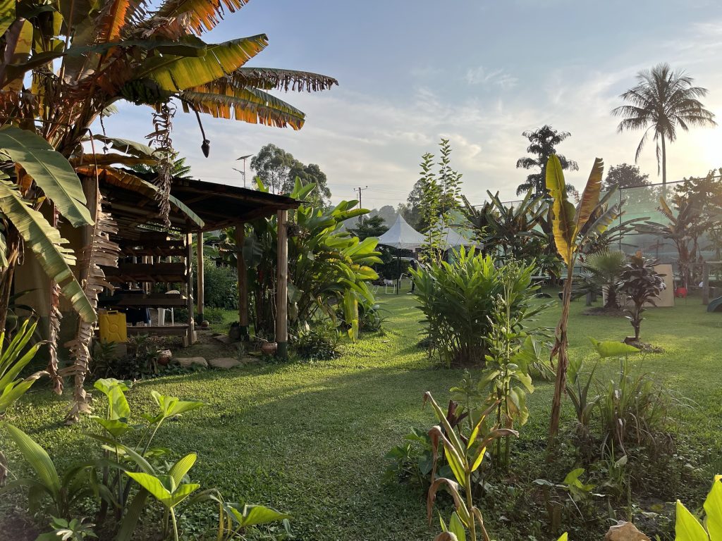 The terrace at Gaia eco hub in Fort Portal